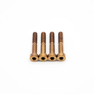 SRAM Maven Brake Titanium Bolts