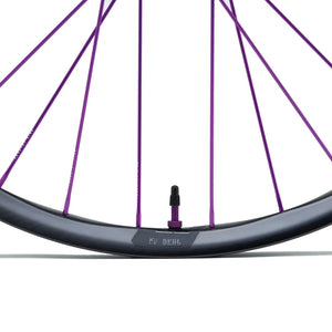 Hydra2 - Deal Carbon Rear Wheel